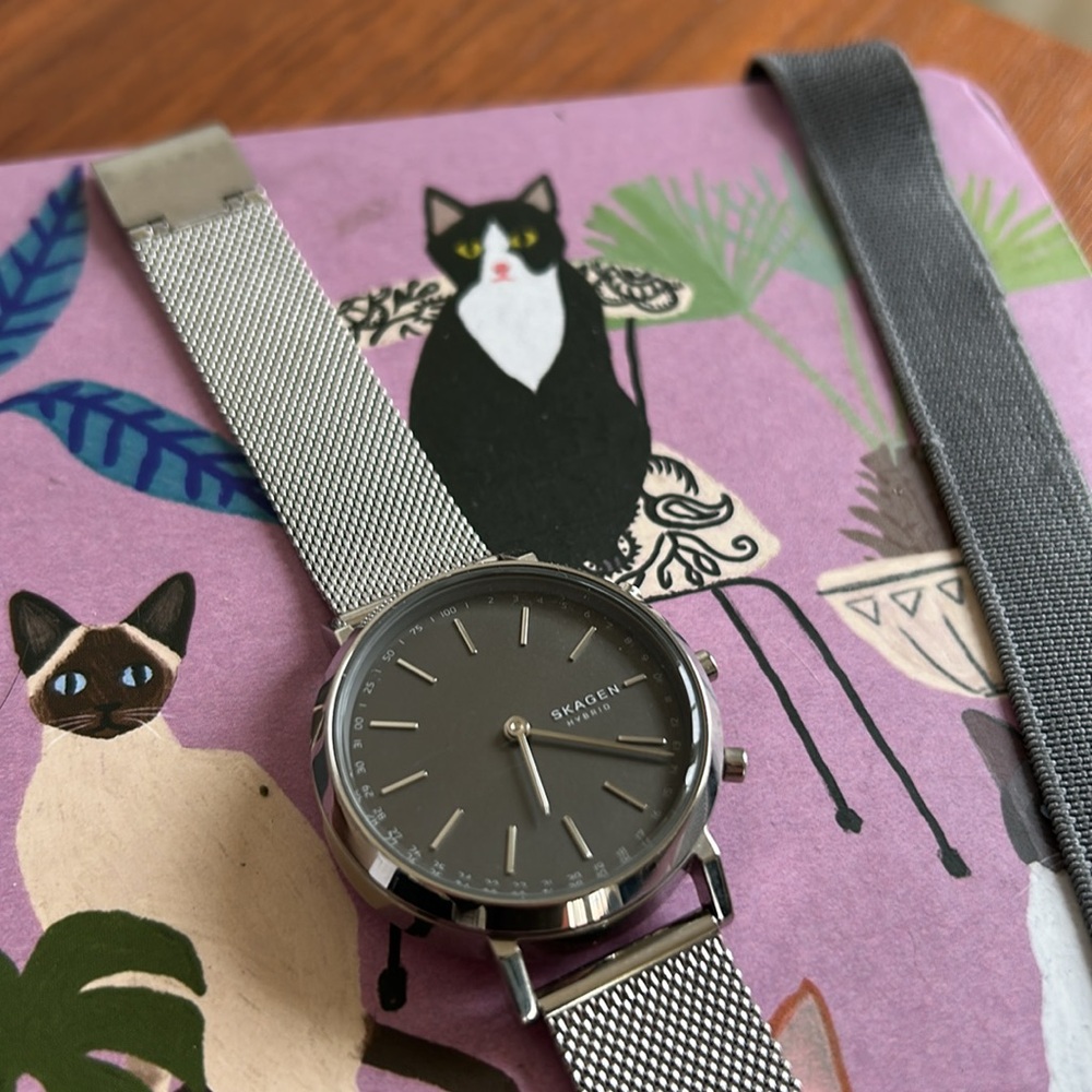 Skagen Smart Watch Silver Mesh Strap Watch